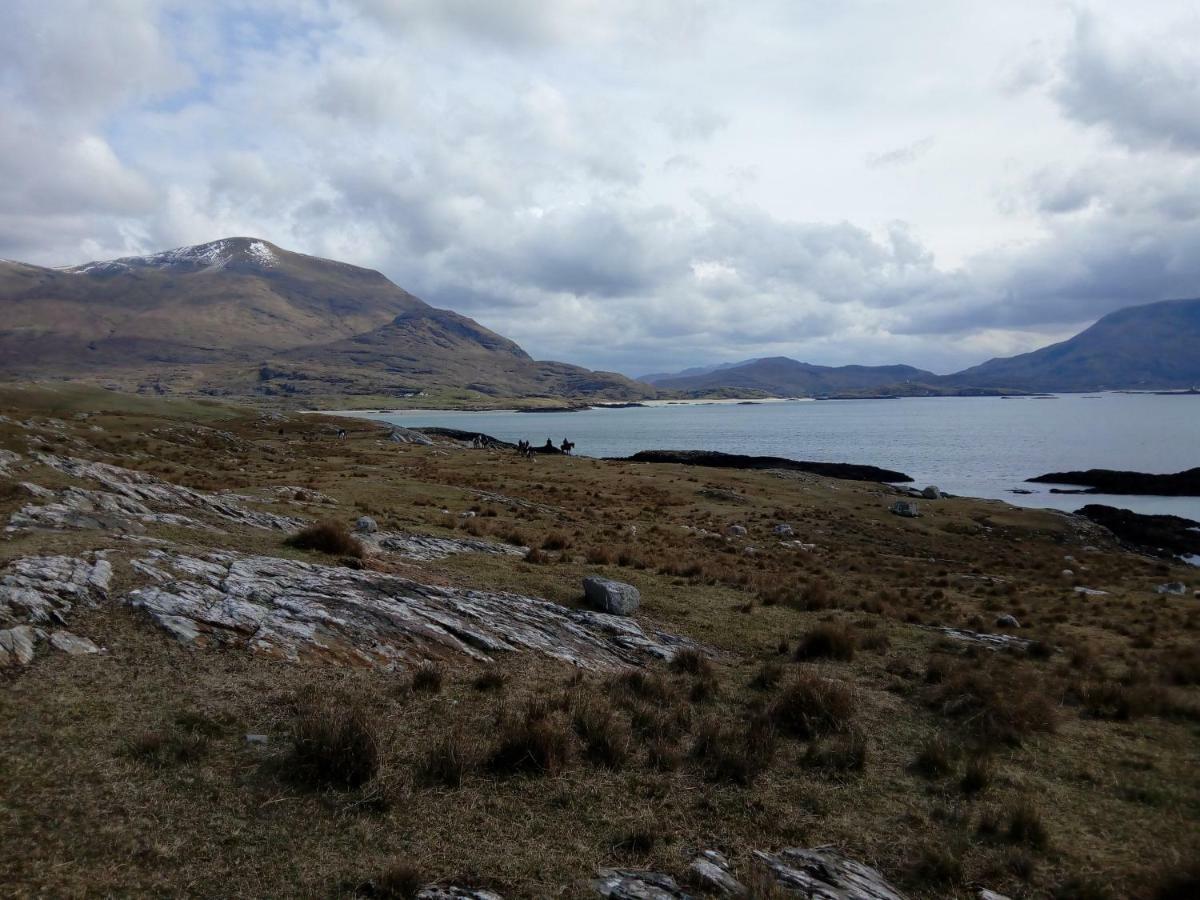 Pier Road Cottage, Croagh Patrick Westport Extérieur photo